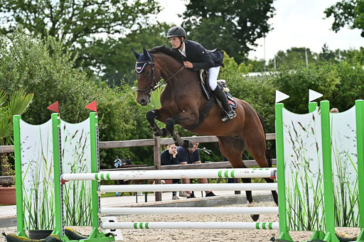 Klein Offenseth  - Hengststation Hell  28.07.2025 | 28072025 Springpferde A_066 