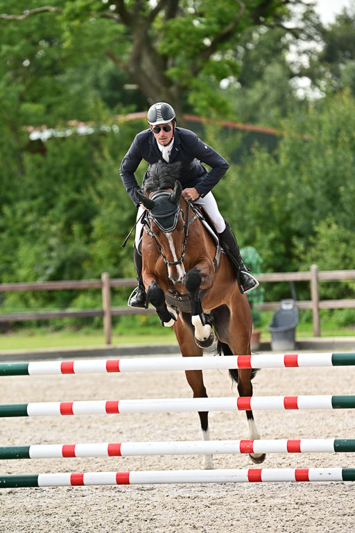 Klein Offenseth  - Hengststation Hell  28.07.2025 | 28072025 Springpferde A_067 