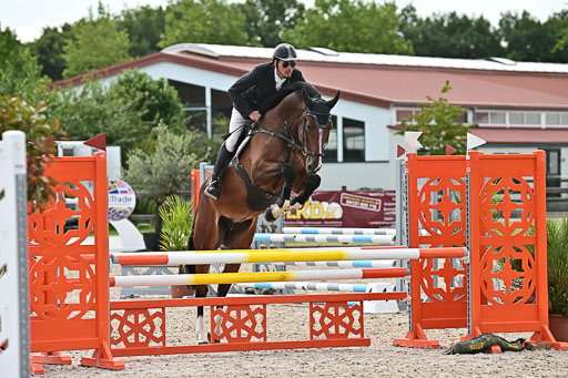 Klein Offenseth  - Hengststation Hell  28.07.2025 | 28072025 Springpferde A_068 