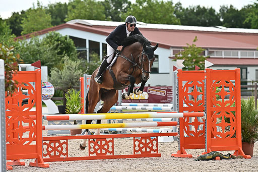 Klein Offenseth  - Hengststation Hell  28.07.2025 | 28072025 Springpferde A_069 