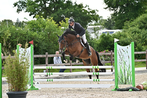 Klein Offenseth  - Hengststation Hell  28.07.2025 | 28072025 Springpferde A_070 