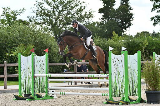 Klein Offenseth  - Hengststation Hell  28.07.2025 | 28072025 Springpferde A_072 