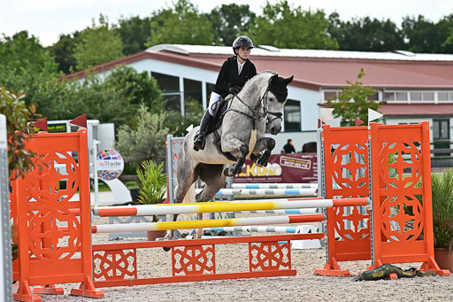 Klein Offenseth  - Hengststation Hell  28.07.2025 | 28072025 Springpferde A_074 