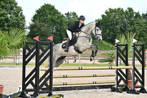 Klein Offenseth  - Hengststation Hell  28.07.2025 | 28072025 Springpferde A_075 