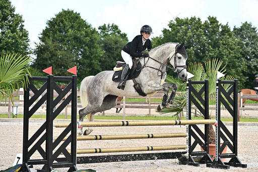 Klein Offenseth  - Hengststation Hell  28.07.2025 | 28072025 Springpferde A_076 