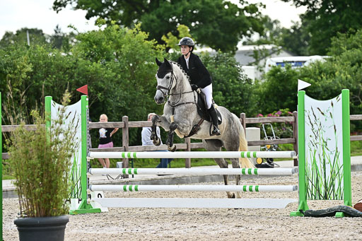 Klein Offenseth  - Hengststation Hell  28.07.2025 | 28072025 Springpferde A_077 