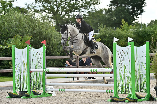 Klein Offenseth  - Hengststation Hell  28.07.2025 | 28072025 Springpferde A_079 