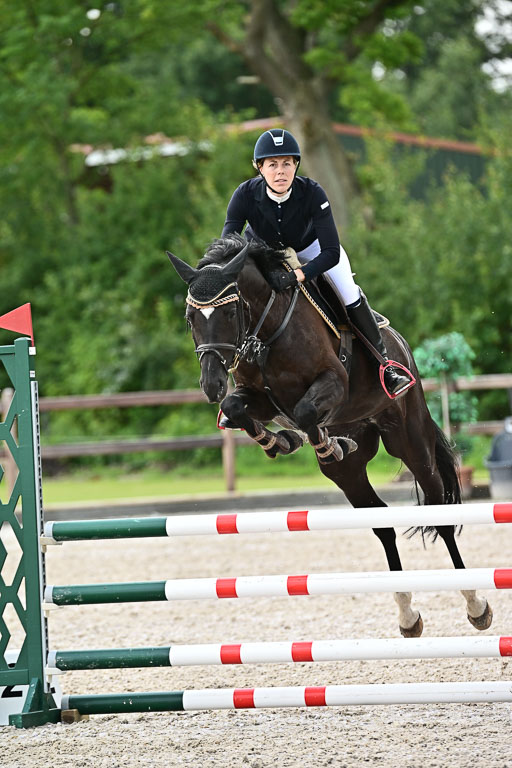 Klein Offenseth  - Hengststation Hell  28.07.2025 | 28072025 Springpferde A_080 