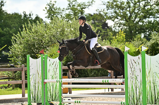 Klein Offenseth  - Hengststation Hell  28.07.2025 | 28072025 Springpferde A_085 