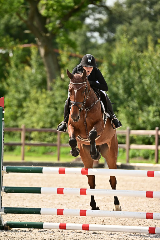 Klein Offenseth  - Hengststation Hell  28.07.2025 | 28072025 Springpferde A_086 