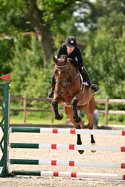 Klein Offenseth  - Hengststation Hell  28.07.2025 | 28072025 Springpferde A_087 