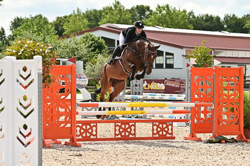 Klein Offenseth  - Hengststation Hell  28.07.2025 | 28072025 Springpferde A_088 