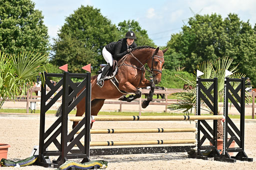 Klein Offenseth  - Hengststation Hell  28.07.2025 | 28072025 Springpferde A_089 