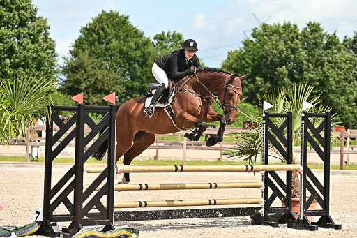 Klein Offenseth  - Hengststation Hell  28.07.2025 | 28072025 Springpferde A_090 