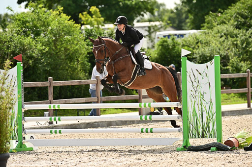 Klein Offenseth  - Hengststation Hell  28.07.2025 | 28072025 Springpferde A_091 