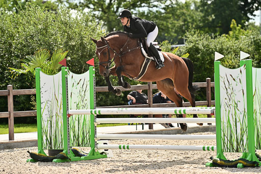 Klein Offenseth  - Hengststation Hell  28.07.2025 | 28072025 Springpferde A_092 