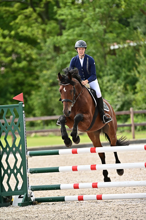 Klein Offenseth  - Hengststation Hell  28.07.2025 | 28072025 Springpferde A_099 