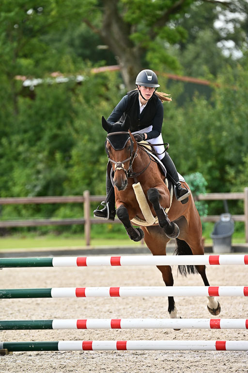 Klein Offenseth  - Hengststation Hell  28.07.2025 | 28072025 Springpferde A_104 