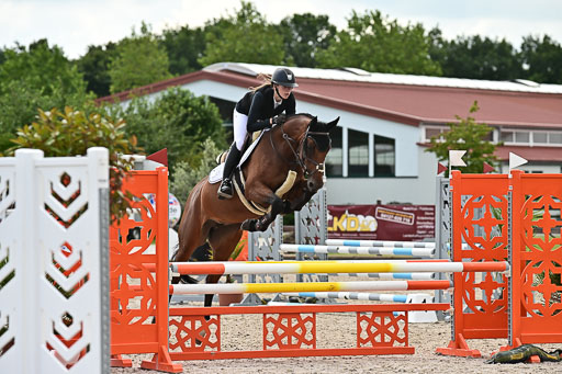 Klein Offenseth  - Hengststation Hell  28.07.2025 | 28072025 Springpferde A_105 