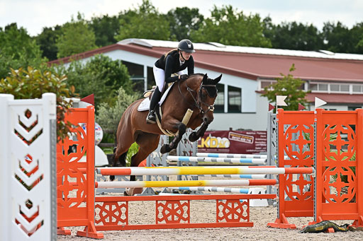 Klein Offenseth  - Hengststation Hell  28.07.2025 | 28072025 Springpferde A_106 