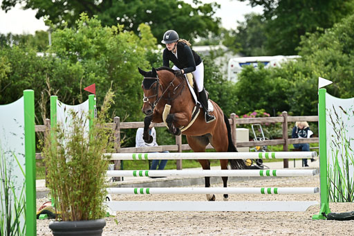 Klein Offenseth  - Hengststation Hell  28.07.2025 | 28072025 Springpferde A_107 