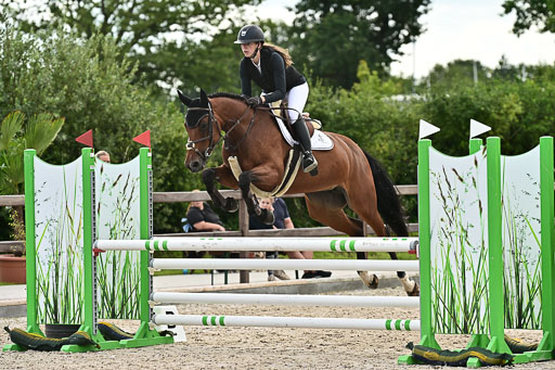 Klein Offenseth  - Hengststation Hell  28.07.2025 | 28072025 Springpferde A_108 