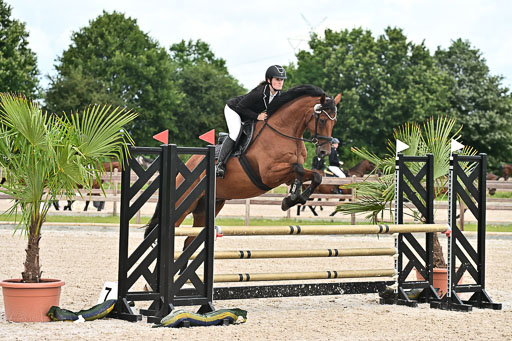 Klein Offenseth  - Hengststation Hell  28.07.2025 | 28072025 Springpferde A_110 