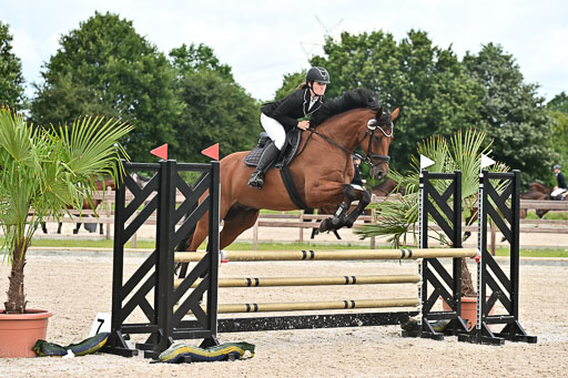 Klein Offenseth  - Hengststation Hell  28.07.2025 | 28072025 Springpferde A_111 