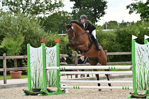 Klein Offenseth  - Hengststation Hell  28.07.2025 | 28072025 Springpferde A_112 