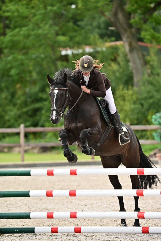 Klein Offenseth  - Hengststation Hell  28.07.2025 | 28072025 Springpferde A_114 