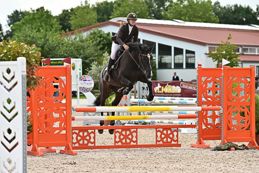 Klein Offenseth  - Hengststation Hell  28.07.2025 | 28072025 Springpferde A_115 