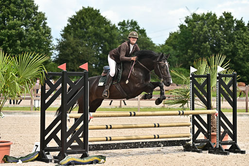 Klein Offenseth  - Hengststation Hell  28.07.2025 | 28072025 Springpferde A_116 