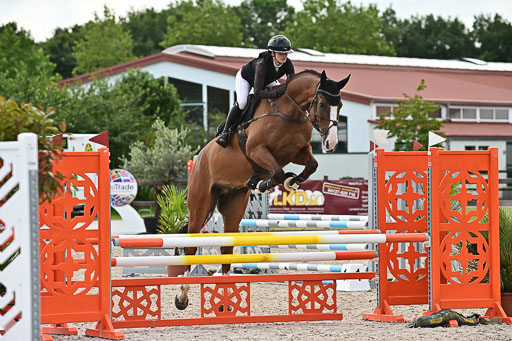 Klein Offenseth  - Hengststation Hell  28.07.2025 | 28072025 Springpferde A_119 