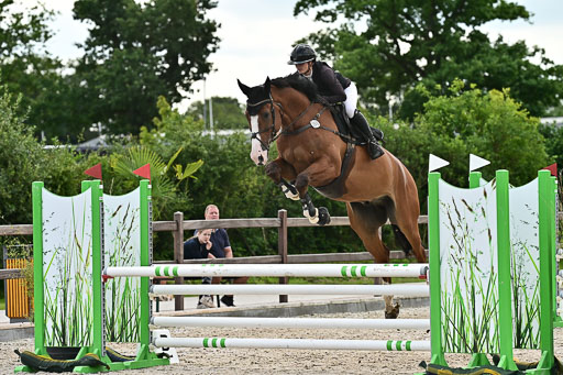 Klein Offenseth  - Hengststation Hell  28.07.2025 | 28072025 Springpferde A_120 