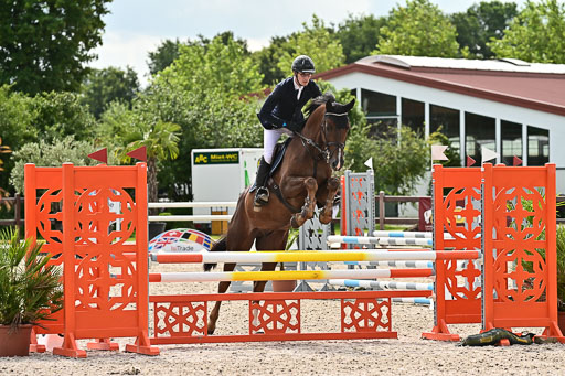 Klein Offenseth  - Hengststation Hell  28.07.2025 | 28072025 Springpferde A_121 