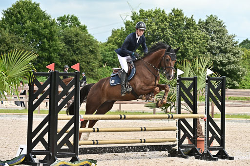 Klein Offenseth  - Hengststation Hell  28.07.2025 | 28072025 Springpferde A_123 