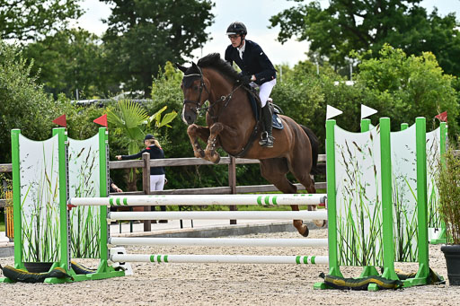 Klein Offenseth  - Hengststation Hell  28.07.2025 | 28072025 Springpferde A_124 