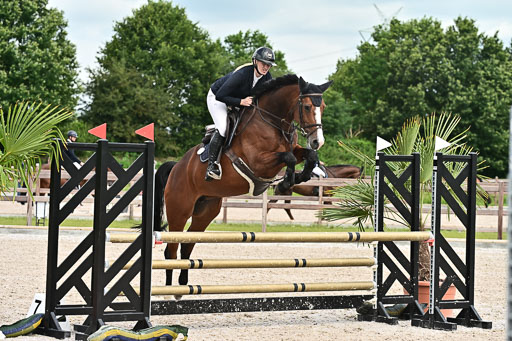 Klein Offenseth  - Hengststation Hell  28.07.2025 | 28072025 Springpferde A_126 