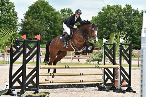 Klein Offenseth  - Hengststation Hell  28.07.2025 | 28072025 Springpferde A_127 