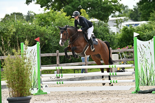 Klein Offenseth  - Hengststation Hell  28.07.2025 | 28072025 Springpferde A_128 