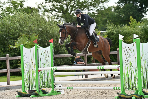 Klein Offenseth  - Hengststation Hell  28.07.2025 | 28072025 Springpferde A_130 