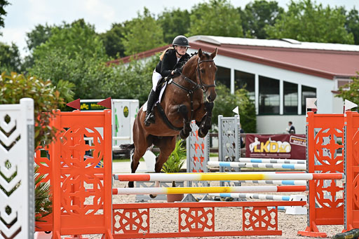 Klein Offenseth  - Hengststation Hell  28.07.2025 | 28072025 Springpferde A_133 