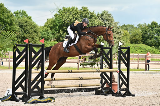 Klein Offenseth  - Hengststation Hell  28.07.2025 | 28072025 Springpferde A_136 