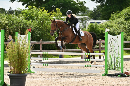 Klein Offenseth  - Hengststation Hell  28.07.2025 | 28072025 Springpferde A_138 