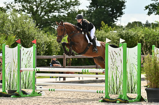 Klein Offenseth  - Hengststation Hell  28.07.2025 | 28072025 Springpferde A_139 