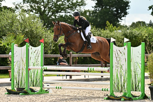 Klein Offenseth  - Hengststation Hell  28.07.2025 | 28072025 Springpferde A_140 