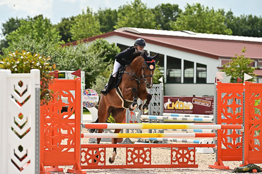 Klein Offenseth  - Hengststation Hell  28.07.2025 | 28072025 Springpferde A_142 