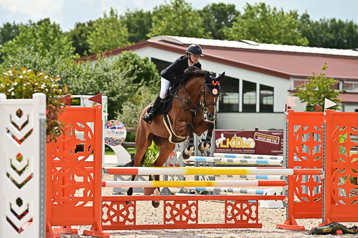 Klein Offenseth  - Hengststation Hell  28.07.2025 | 28072025 Springpferde A_143 