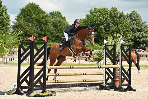 Klein Offenseth  - Hengststation Hell  28.07.2025 | 28072025 Springpferde A_144 