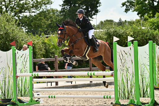 Klein Offenseth  - Hengststation Hell  28.07.2025 | 28072025 Springpferde A_146 